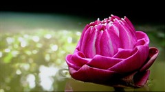 寬屏娛樂LCD終結(jié)者!索尼20吋液晶評測