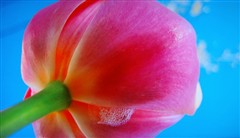 ASV面板威力爆發(fā)!夏普46GE5A深度首測