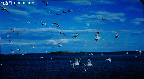 ԃr(ji)ȏ(qing)C(j)µx42PV8Cu(png)y(c)