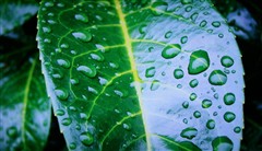 ASV面板威力爆發(fā)!夏普46GE5A深度首測