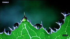 ʘ(l)LCDKY(ji)!20Һu(png)y(c)