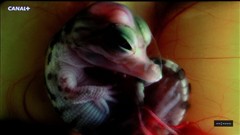 ʘ(l)LCDKY(ji)!20Һu(png)y(c)