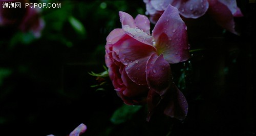 ԃr(ji)ȏ(qing)C(j)µx42PV8Cu(png)y(c)