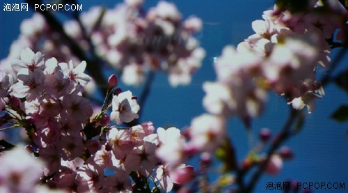 ԃr(ji)ȏ(qing)C(j)µx42PV8Cuy