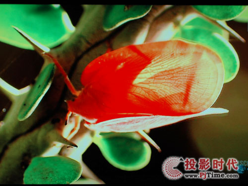 TViX M7000A高清播放機評測