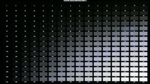 松下TH-42PV8C灰階測(cè)試 松下TH-42PV8C灰階測(cè)試