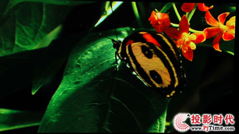 海信TPW37M69等離子電腦高清效果