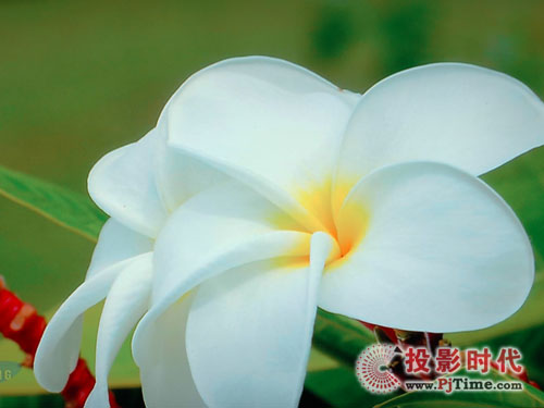 TViX M7000A高清播放機評測