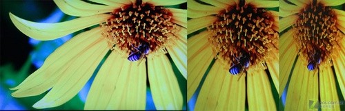 公開(kāi)叫板日立?超薄3.5cm液晶賣場(chǎng)首測(cè)  公開(kāi)叫板日立?超薄3.5cm液晶賣場(chǎng)首測(cè)