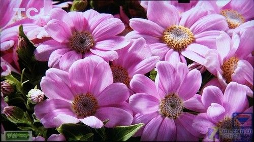 K(d)ռTCLƷL46M9FRu(mi)(chng)ع 