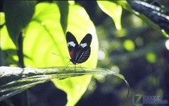 低功耗高亮度 索尼VPL-EX130投影首評