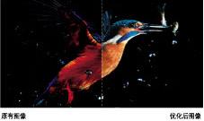 新一代旗艦!東芝52ZV550C高清試用  新一代旗艦!東芝52ZV550C高清試用