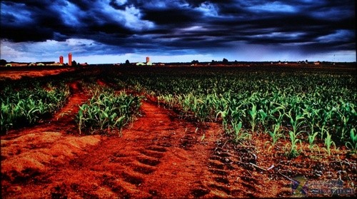 優(yōu)酷節(jié)目直接播 清華同方Lime TV詳測  優(yōu)酷節(jié)目直接播 清華同方Lime TV詳測