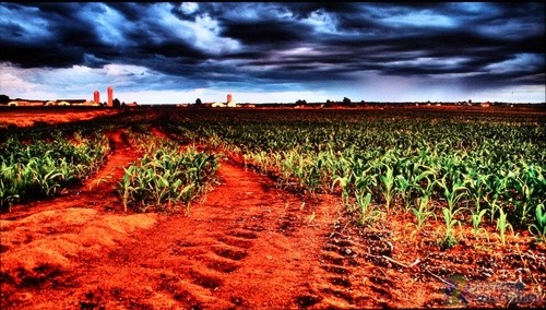 優(yōu)酷節(jié)目直接播 清華同方Lime TV詳測  優(yōu)酷節(jié)目直接播 清華同方Lime TV詳測