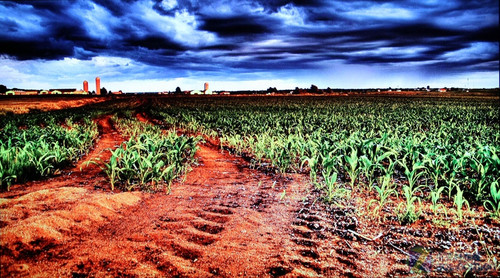 一線大牌玩低價(jià) 東芝新款液晶TV詳測