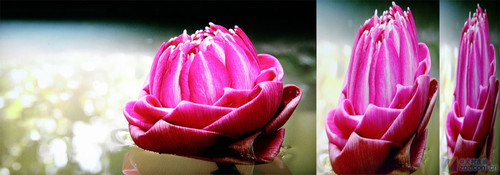 一線大牌玩低價 東芝新款液晶TV詳測