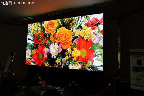 Ӱ¼o(j)ԪOLED(h)Ļ 