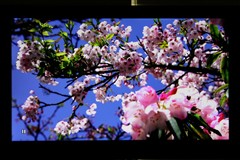 康佳LC32IS88EN液晶電視