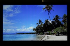 TCL(TCL)L46P11FBDE液晶電視