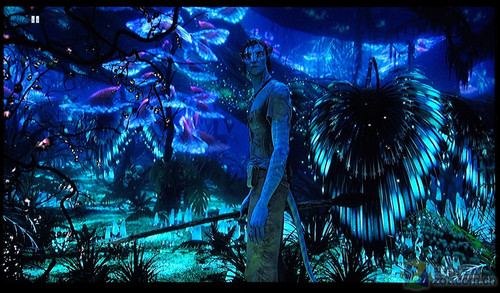 康佳新品評(píng)測