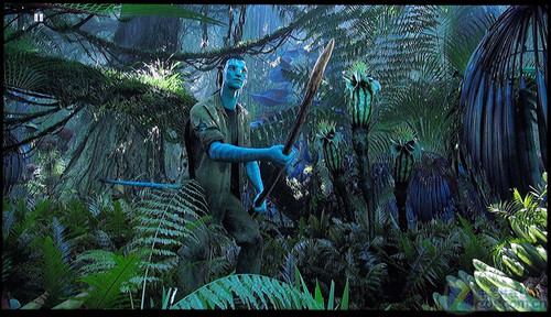 康佳新品評(píng)測