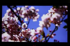 海信(Hisense)LED55T29GP3D液晶電視