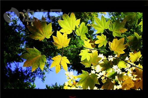 海信(Hisense)LED55T29GP3D液晶電視