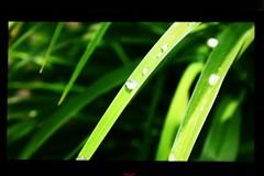 海信(Hisense)LED55T29GP3D液晶電視