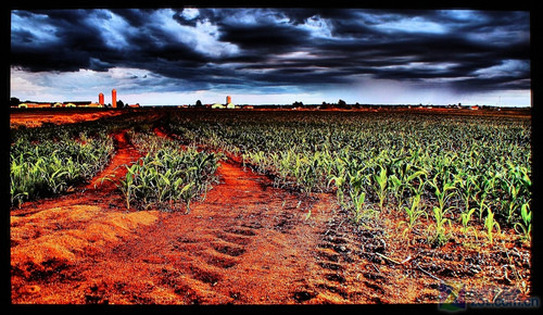 功能3D時(shí)代到來(lái) 長(zhǎng)虹等離子電視詳測(cè)