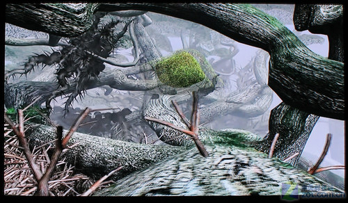 3Dr(sh) L(zhng)xҕԔy(c) 