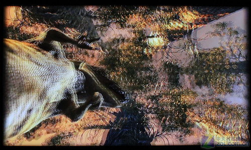 3Dr(sh) L(zhng)xҕԔy(c) 