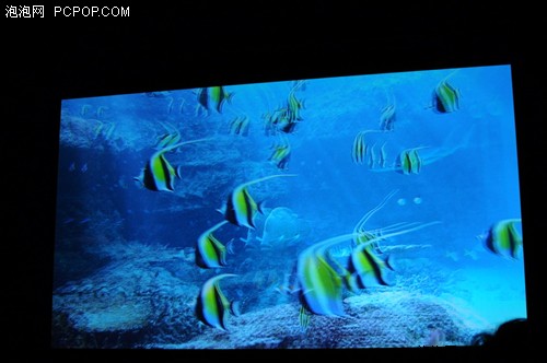 I3DͶӰ^(jin)u(png) 