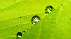 等離子和液晶電視畫質PK之效果圖對比2