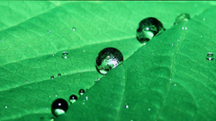 等離子和液晶電視畫質PK之效果圖對比2