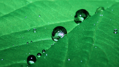 等離子和液晶電視畫質PK之效果圖對比2