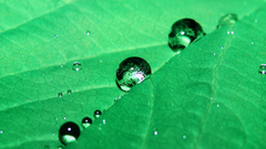 等離子和液晶電視畫質PK之效果圖對比2