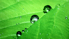 等離子和液晶電視畫質PK之效果圖對比2