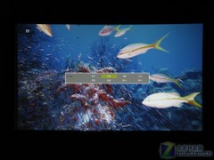 開燈看電影 高亮1080p投影實戰(zhàn)大客廳