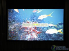 開(kāi)燈看電影 高亮1080p投影實(shí)戰(zhàn)大客廳