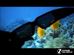 ֵ=sˮfԪ(ni)3D 1080pͶӰC(j)Mu 