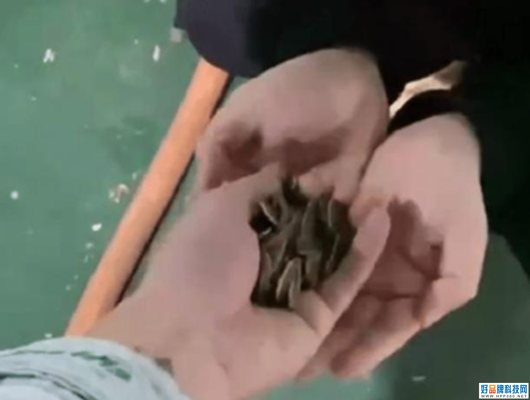 Ӷڳ늘ྐྵӣһĘoαԹֻޮ(dng)IԴ܇