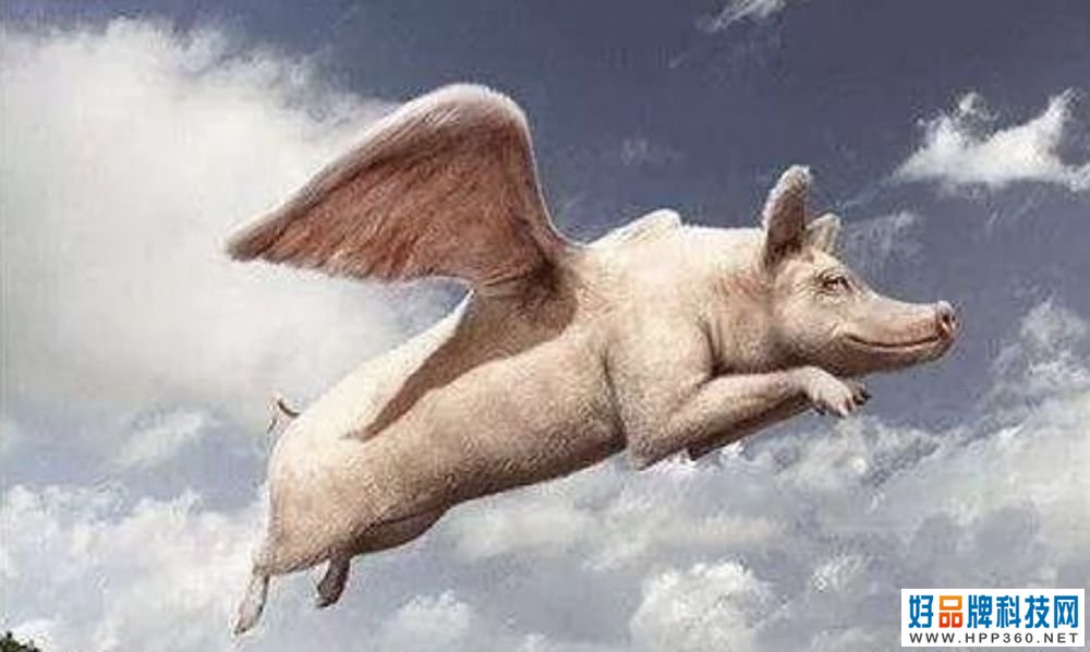 “p˵ĵһv늄܇”С׿ܸҪһ¹