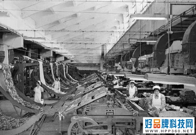 СӢͨf(chung)ʼ146|uoRƺֿٍϰك|